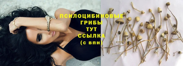 мяу мяу мука Белоозёрский